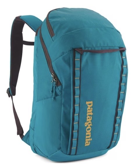 Patagonia Black Hole Pack - 32 L